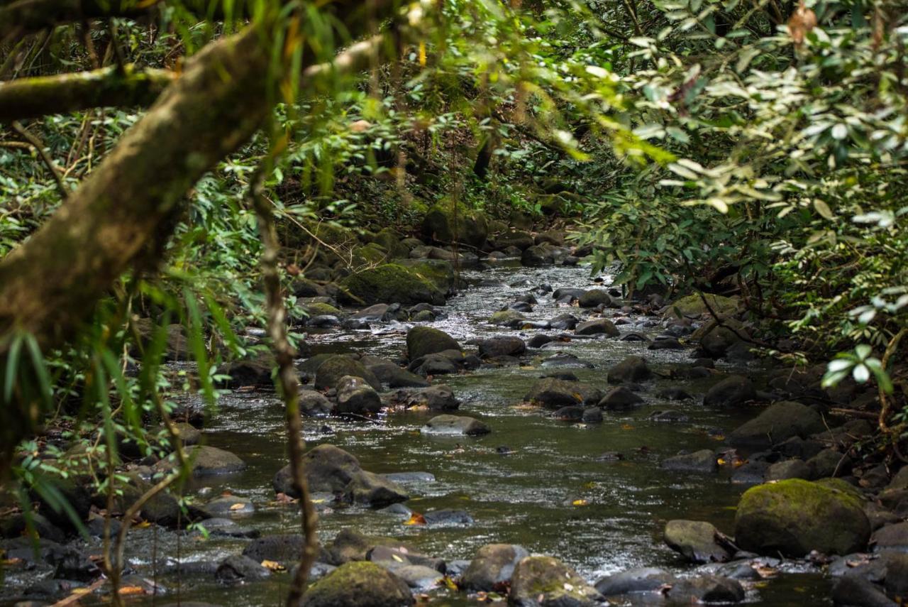 Wanakaset Panama Villa Dolega Exteriör bild