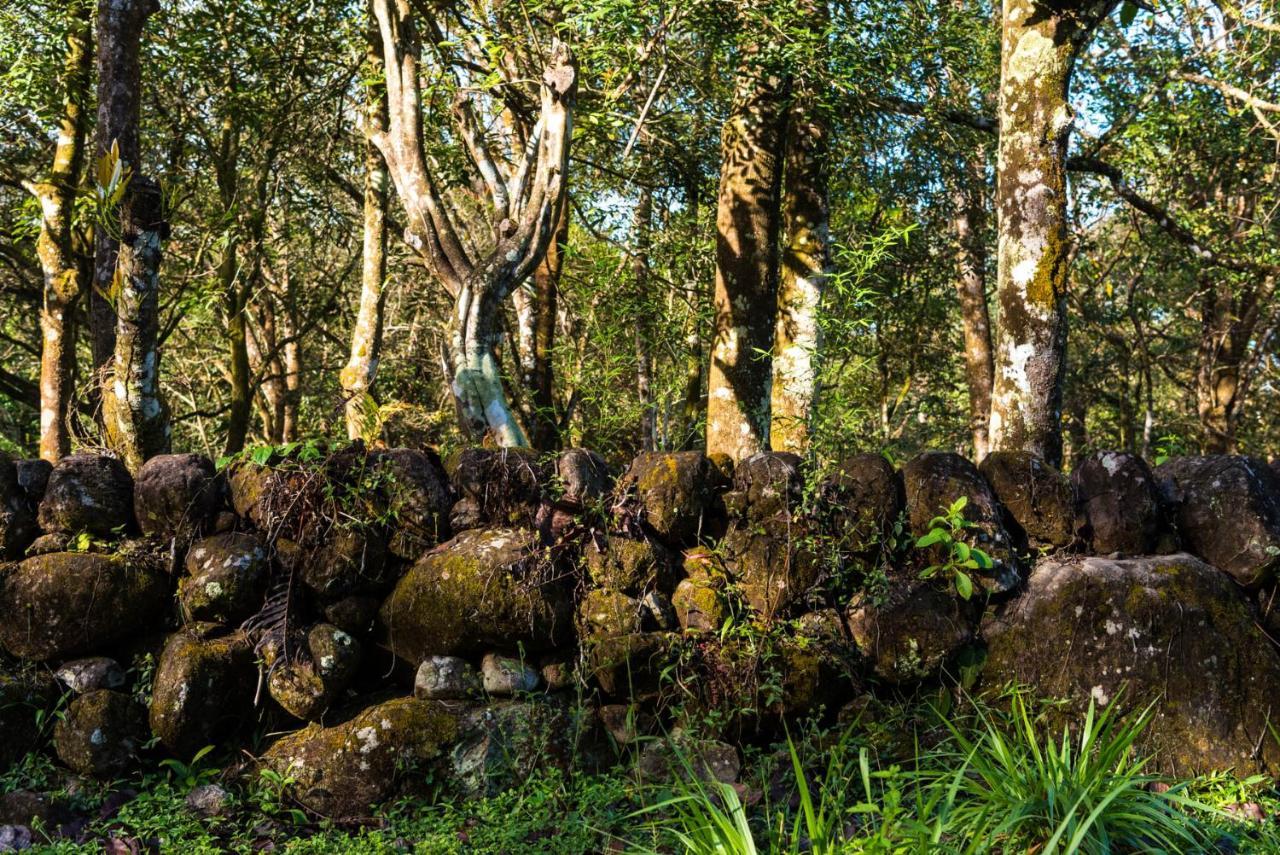 Wanakaset Panama Villa Dolega Exteriör bild