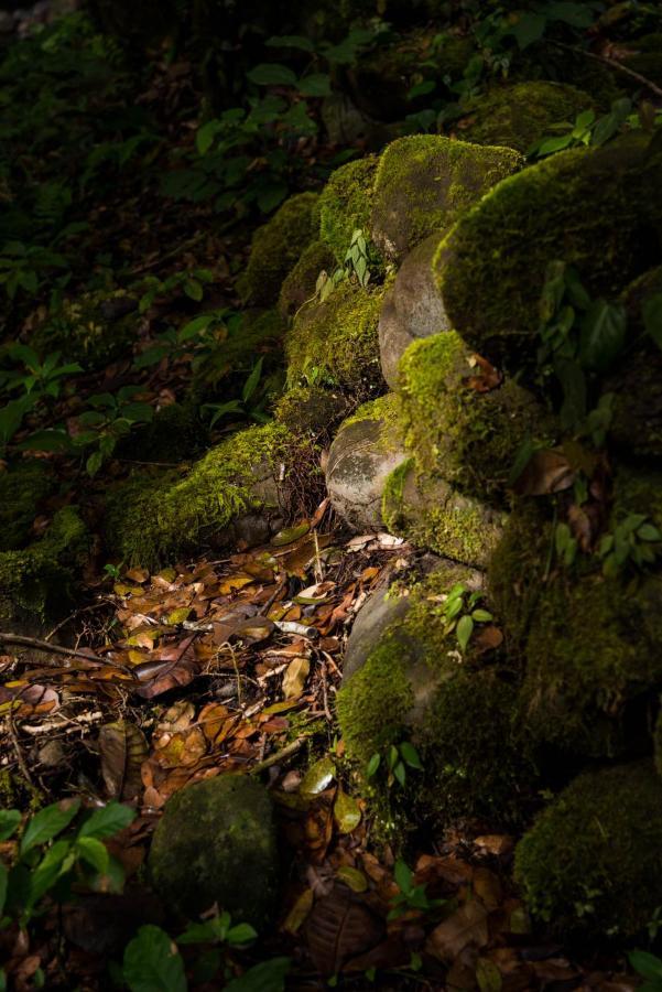 Wanakaset Panama Villa Dolega Exteriör bild