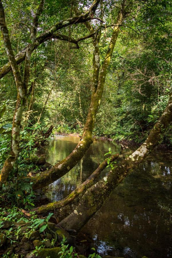 Wanakaset Panama Villa Dolega Exteriör bild