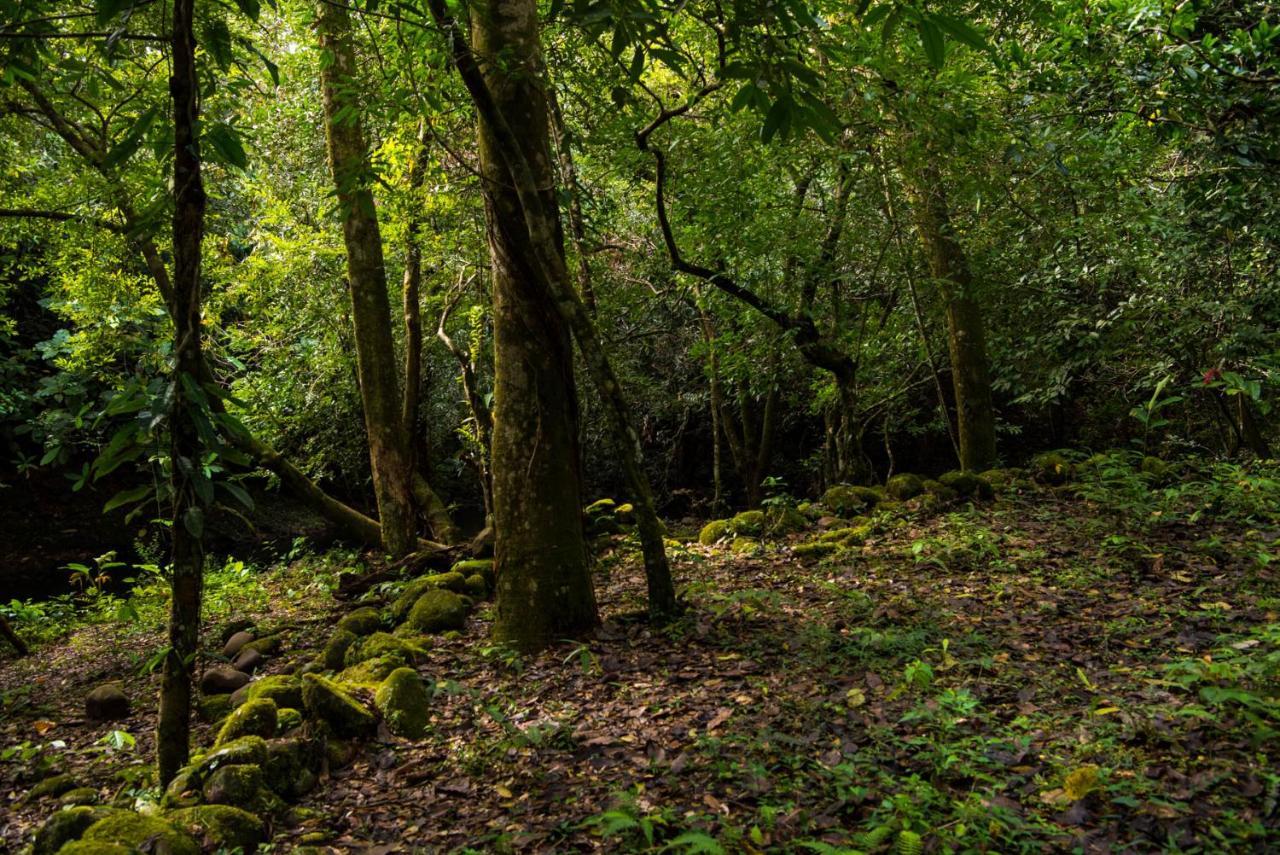 Wanakaset Panama Villa Dolega Exteriör bild