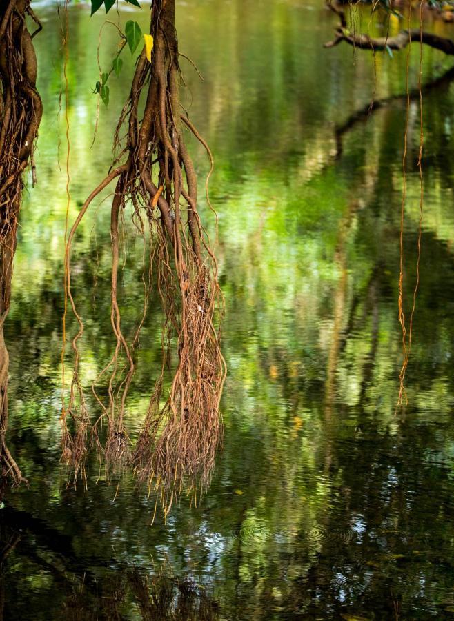 Wanakaset Panama Villa Dolega Exteriör bild