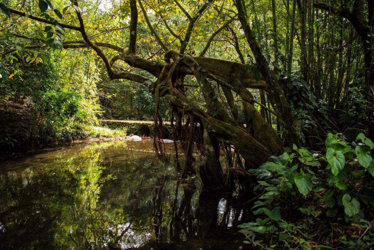 Wanakaset Panama Villa Dolega Exteriör bild