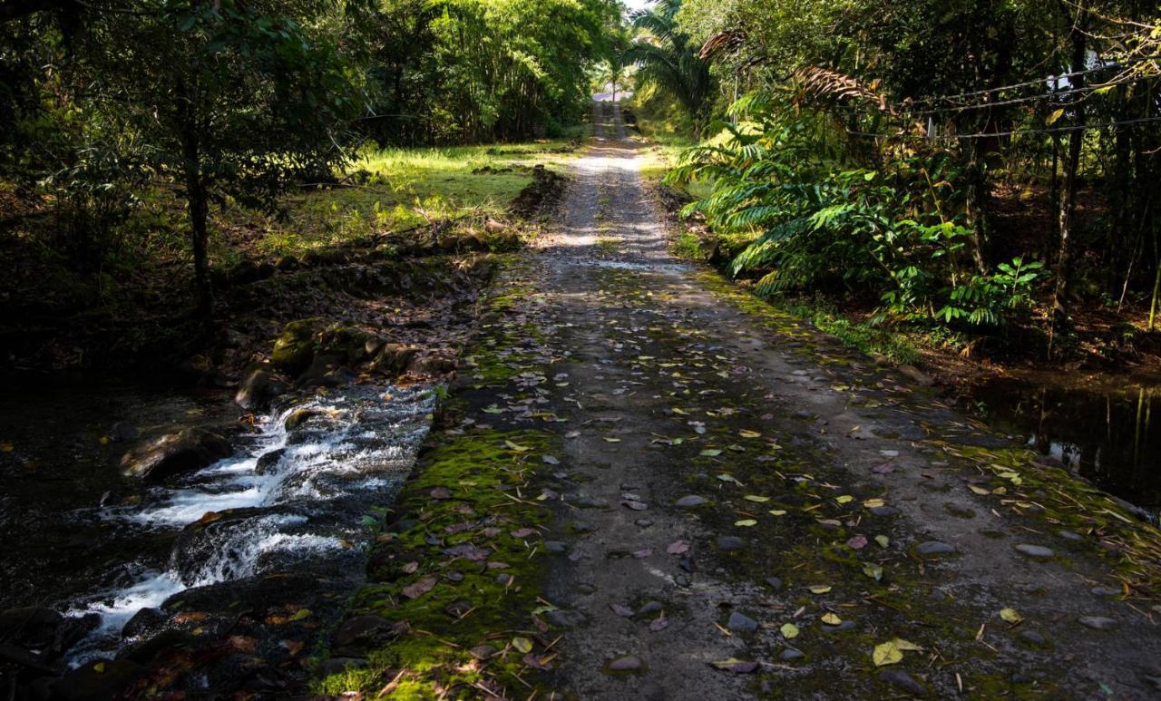 Wanakaset Panama Villa Dolega Exteriör bild