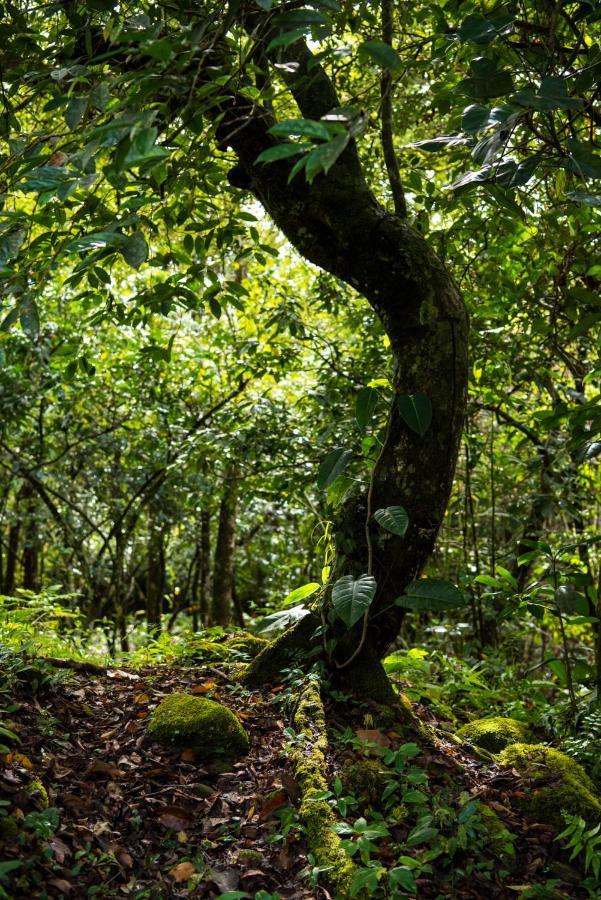 Wanakaset Panama Villa Dolega Exteriör bild