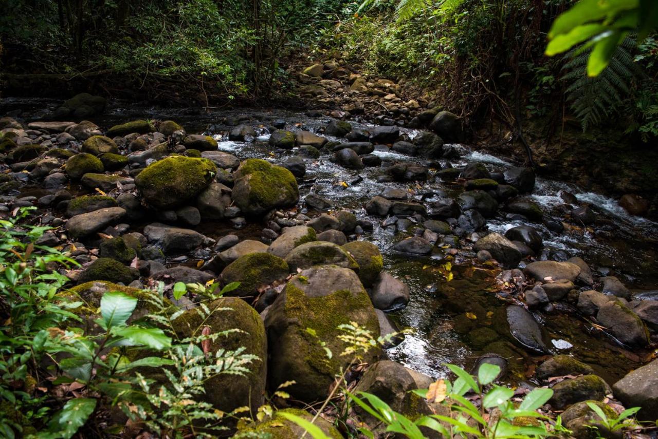 Wanakaset Panama Villa Dolega Exteriör bild